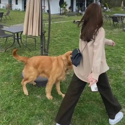 僵尸小姐