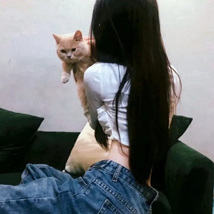 独臂拳王大破血滴子